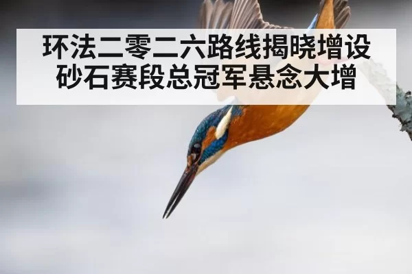 环法二零二六路线揭晓增设砂石赛段总冠军悬念大增