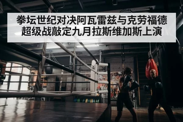 boxer training gym